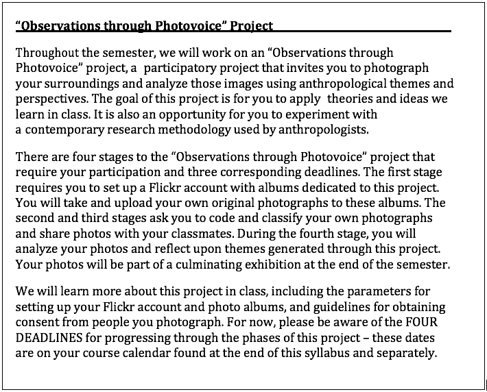 Figure 1 depicts a Project Description from the Syllabus.