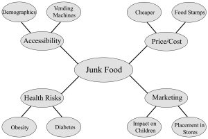 Sample concept map of ‘junk food’ and its related issues, complete with details and examples of each.