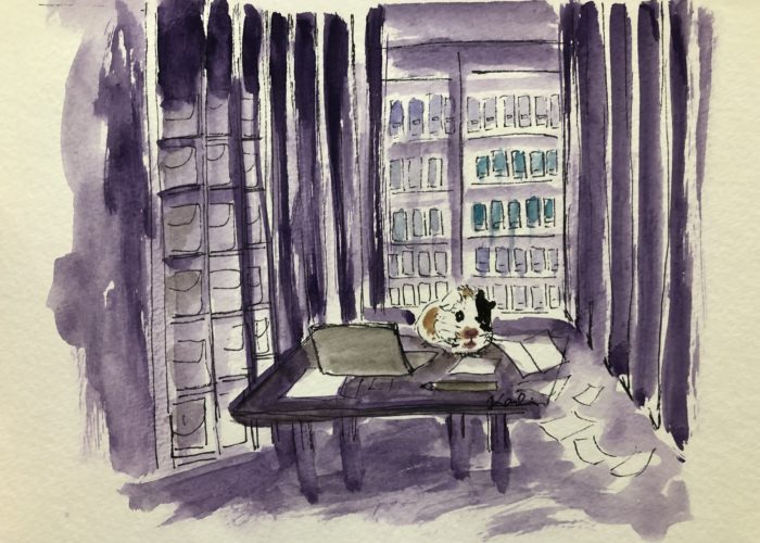 Water-color image of guinea pig conducting archival research.