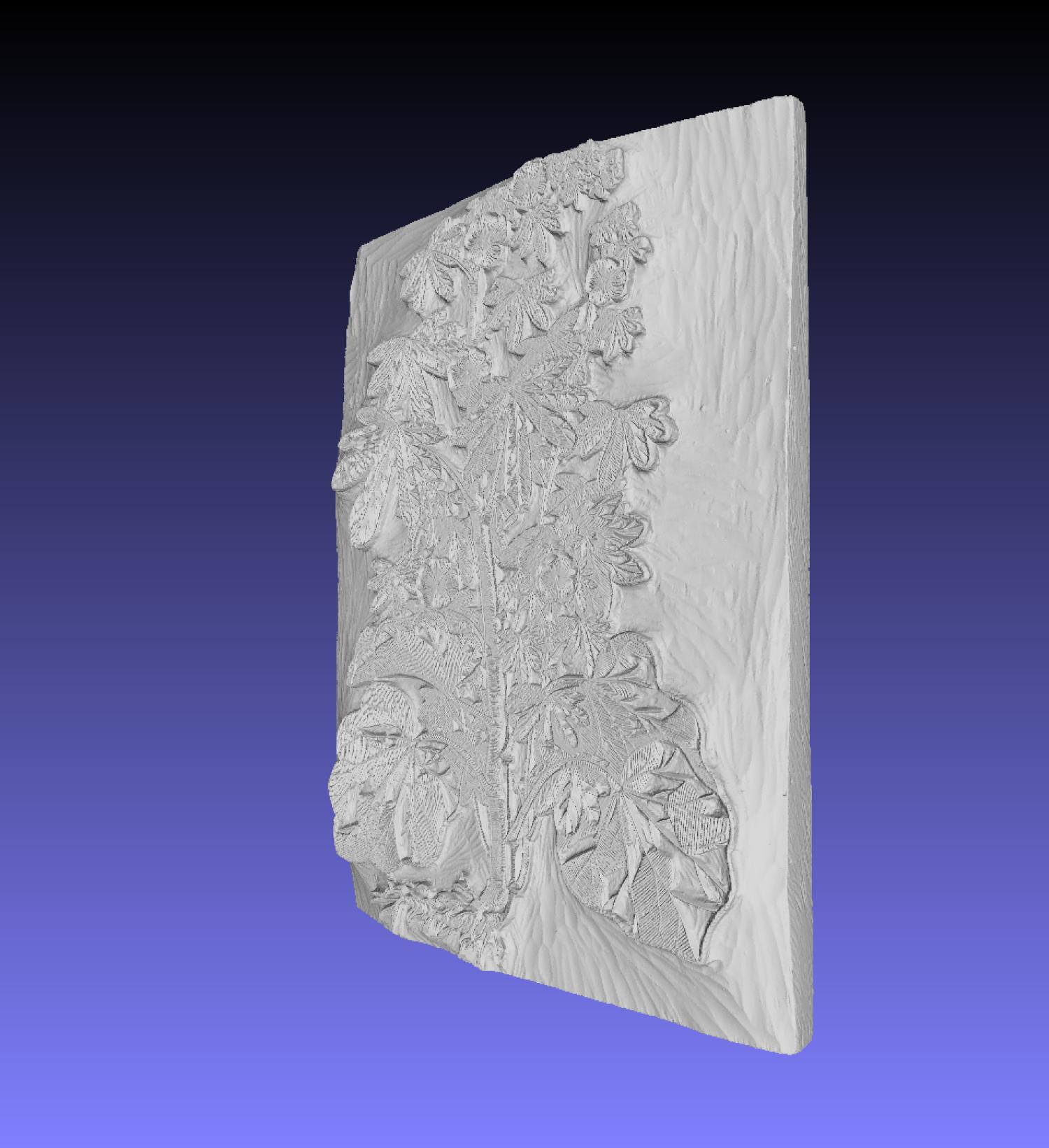 Side angle view of a 3D-scanned leafy plant woodblock.