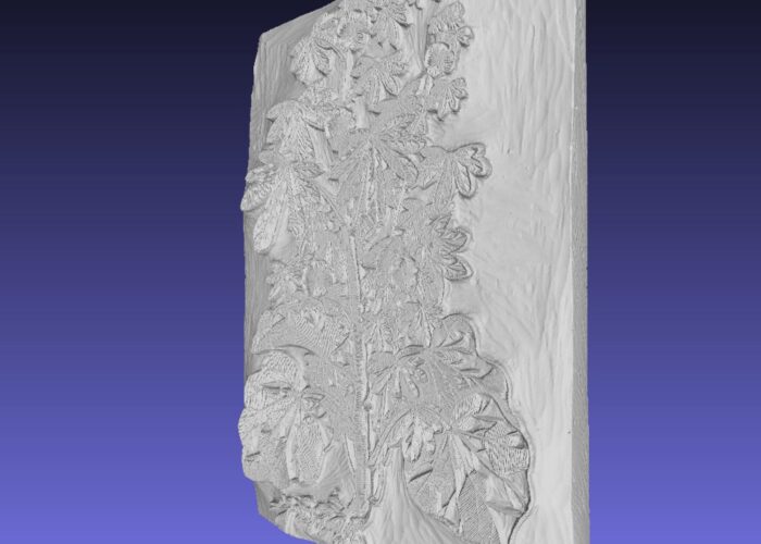 Side angle view of a 3D-scanned leafy plant woodblo