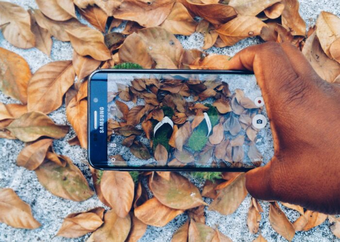 A hand holds a phone camera over a pile of leaves, with a pair of flip flops apparently made of grass in the center.