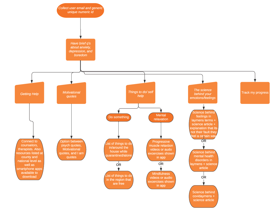 A flow chart showing the information architecture.