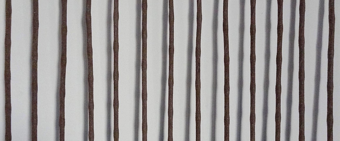 Image of brown rods on a white background.