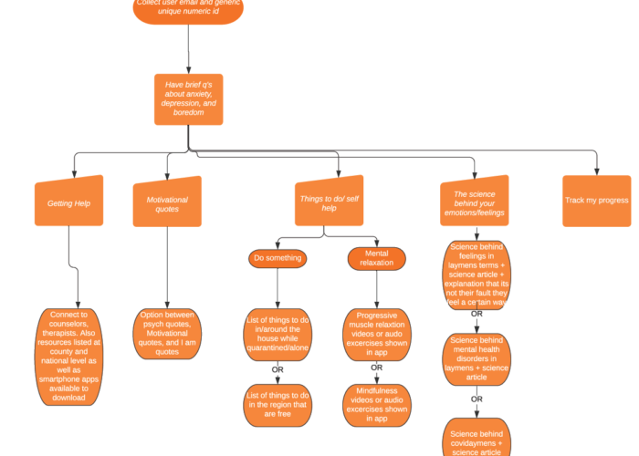 A flow chart demonstrates an app's information architecture