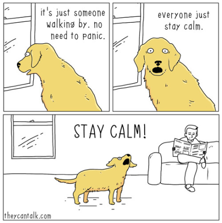 A cartoon image from Craig 2017 with three components is presented. In the first component a yellow dog looks out a window and the text associated reads “it’s just someone walking by. no need to panic.” The second component depicts the same dog staring towards the viewer with an open mouth and the following text “everyone just stay calm.” The final component shows the same yellow dog barking “STAY CALM!” while his or her owner sits on a couch reading a newspaper. 