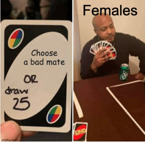 An Uno Draw 25 meme which depicts two images, one with an Uno Card with the phrasing “Choose a bad mate” and the phrasing “or draw 25” scribbled on it, and other image which depicts a gentleman holding 25 or more Uno cards with the wording “Females” depicted across.