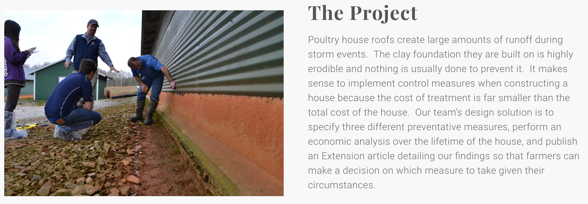 Students and faculty work together to prevent the erosion of clay pads surrounding poultry houses.